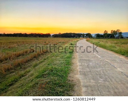 This picture show field at countryside of Thailand. This picture is taken in the evening when the sun is falling.