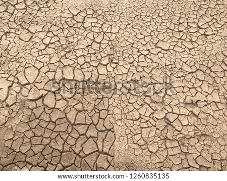 Picture of soil condition caused by drought.
Soil has no weeds. No organic matter
Dead soil