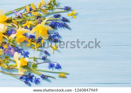 yellow and blue spring flowers on wooden background