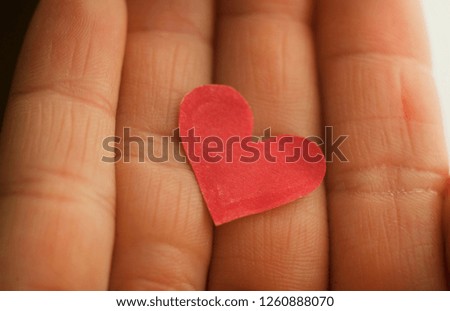 
Red heart in the hands close-up. Abstraction love and health
