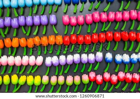 Magnets exposure tulip-shaped to Bloemenmarkt Amsterdam 