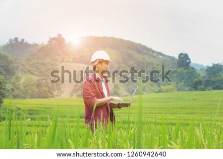 Smart Farming.Management Information System using technologies in agriculture.farmer with laptop computer in field using apps and internet of things(IOT) in production and agricultural research