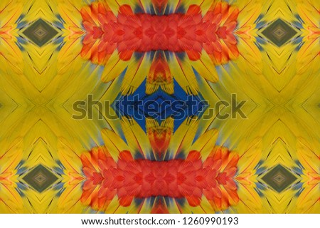 Seamless pattern made from Colorful Scarlet Macaw feathers. Multicolor of bird feather texture used for  decorate background  to make your work stand out
