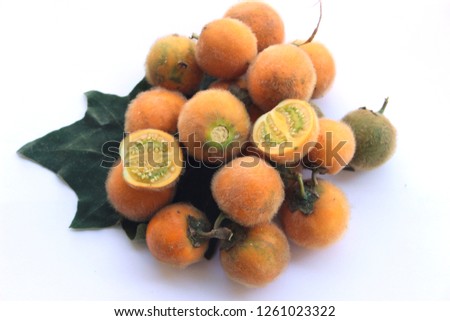 Solanum ferox or Solanum stramonifolium , Hairy-fruited eggplant , Vegetables, herbs