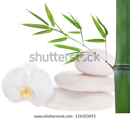 composition with stones, bamboo and orchid isolated on white background