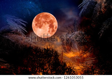 fantastic red moon