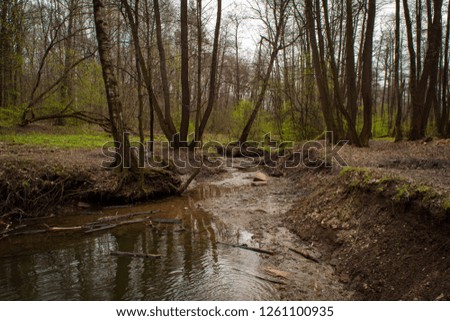 Small river in spring park