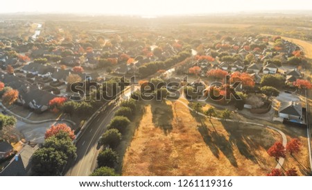 Top view residential area near urban park with pathway and colorful trees in autumn season. Row of single-family houses surrounded by colorful fall foliage in Irving, suburbs Dallas, Texas, USA