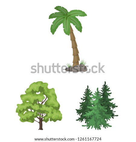 Vector design of tree  and forest icon. Set of tree  and green stock vector illustration.