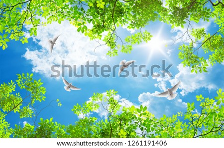 green trees and doves on a sunny day