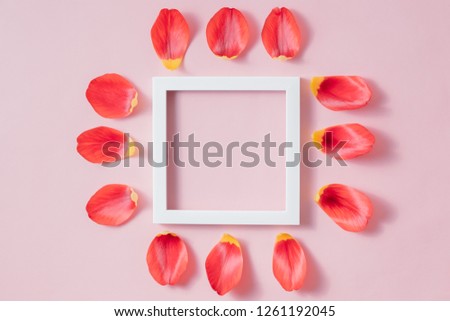Flat lay composition with white frame and red petals on a pink background