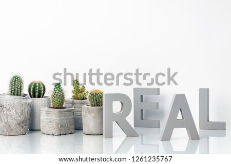 Scandinavian interior design. Hipster motivational set with succulent in concrete planter. Wooden letters on the white shelf with quote REAL. White copy space