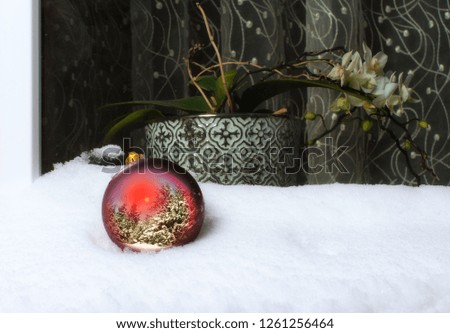 Christmas bauble outside, Christmas toy, snow, beautiful picture, ball, flower on the background.
