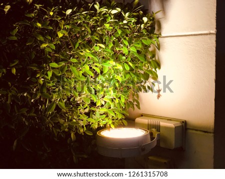 surface mounted uplight to illuminate the shrub leaves and concrete column Royalty-Free Stock Photo #1261315708