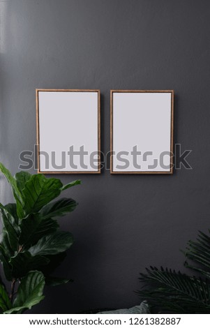 Compostion empty natural wooden frames setting on gray painted wall surrounded by artificial plants setting in natural lighting scene / cozy interior concept / object isolated