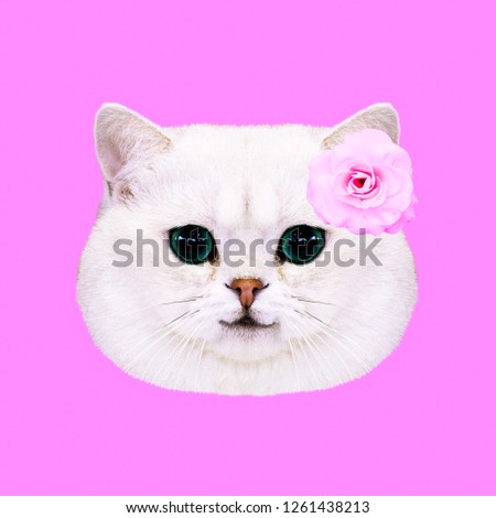 Contemporary art collage. Cute white kitty. Women cutie concept