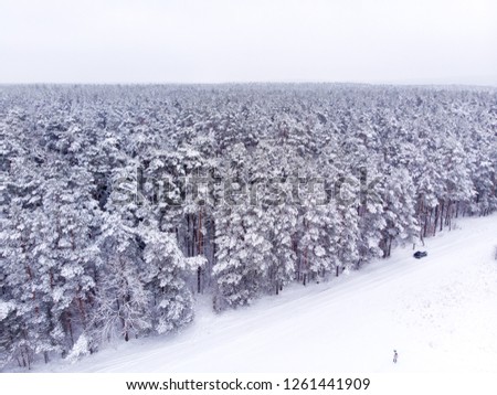 Aerial view of snowy forest. Aerial view of forest in winter. Snowy forest background.