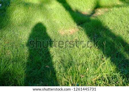 Shadow of a female standing on a green grass field with a tree and sun light in bright day 