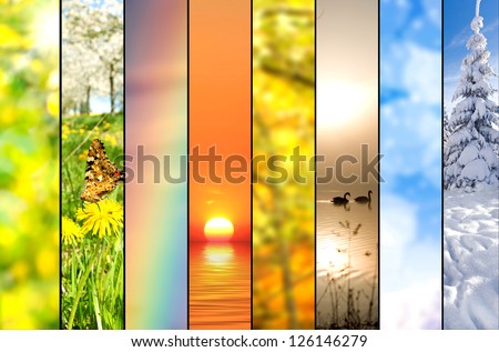 Four seasons collage, several images of beautiful natural landscapes at different time of the year, autumn, winter, spring and summer weather, planet earth life cycle concept
