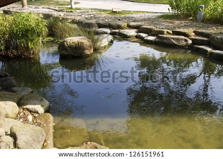 plants on stream in eco green park