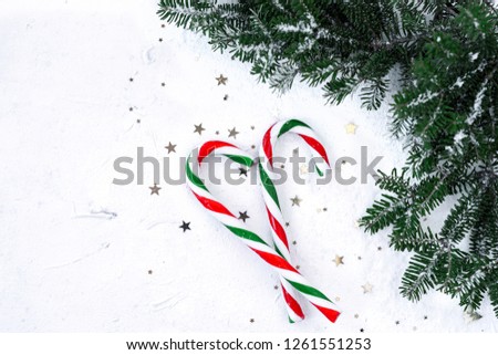 Candy cane on light background with fir branches and small golden stars.Xmas concept.Eye bird view.