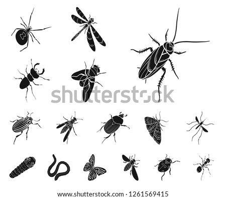 Different kinds of insects black icons in set collection for design. Insect arthropod vector isometric symbol stock web illustration.
