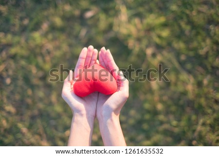 Two hands holding red heart with green grass background. Concept Give love.
