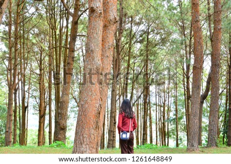 The girl is standing in a pine forest.