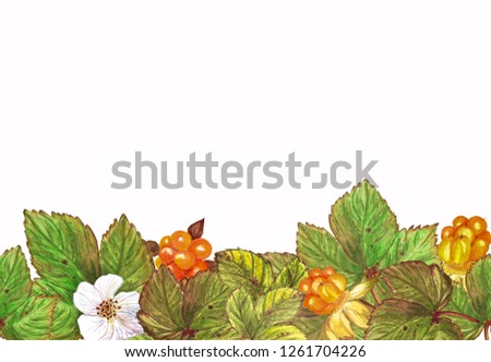 Border seamless of berries and leaves of cloudberry