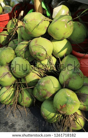 Many coconut green bright.