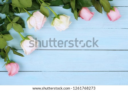 Flowers background. Bouquet of beautiful pink roses on blue wooden background.Top view.Copy space