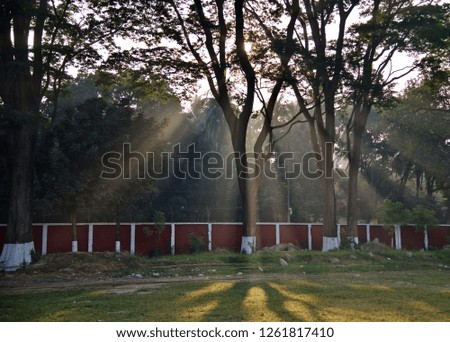 Sunlight rays in the early morning unique photo