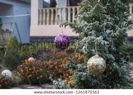 Bauble on tree. Christmas and New Year decoration on the pine tree branch outdoors. Concept of winter holidays. Selective focus