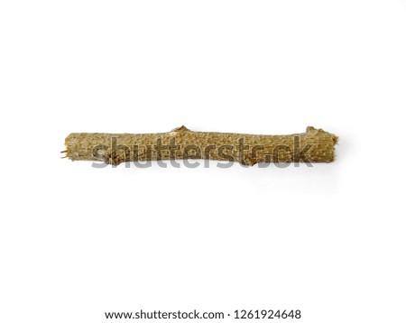 Twigs, set macro dry branches birch isolated on white background, with clipping path. Tree branches set isolated on white background. Wood pile or tree sticks isolated on white background.
