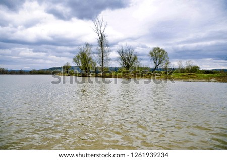 Beautiful and interesting landscape and views of the summer river or lake with green shrubs and grass with a blue sky.
