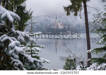Picture of Pilgrimage Church of the Assumption of Maria on an island on Lake Bled, Slovenia.  Snowy capture framed through snow covered evergreen branches