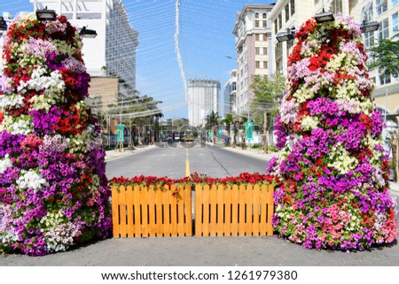 Bright flowers in the city
