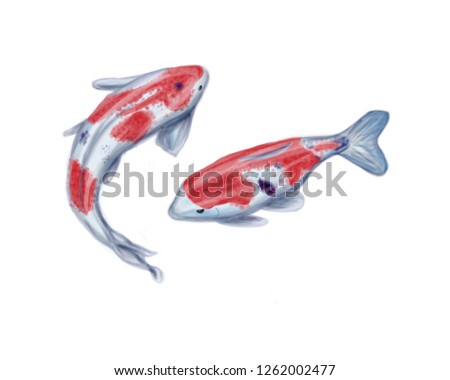 The koi fishies. Raste illustration.