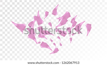 Red Rose Petals Falling Down. Isolated Vector illustration of Rose Petals. Flying Red Sakura Blossom Background. Design of Greeting or Invitation Card. 
