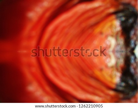 Abstract out of focus lights coming from the mother nature with abstract background of Red fruit. Good for Christmas and New Year celebrations. Abstract background of Red, Yellow and white color. 