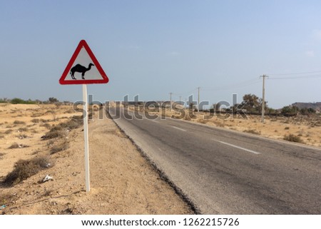 Road sign: Beware of camels. Funny and unusual road sign in iranian desert. Road board with camel silhouette on a rural way in the middle of the desert.