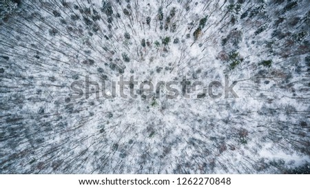 Aerial view of snow covered forest in winter.