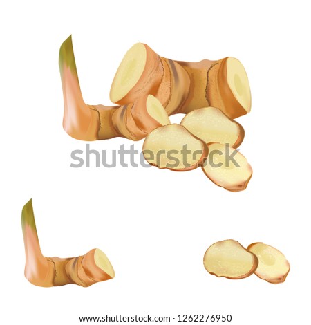 Galangal is a rhizome of plants Herbs Royalty-Free Stock Photo #1262276950
