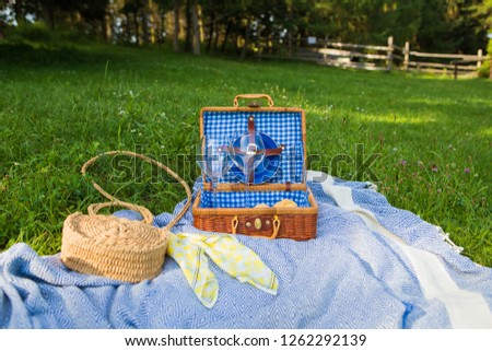 Very beautiful outdoor picnic in the park. Laying on the plaid