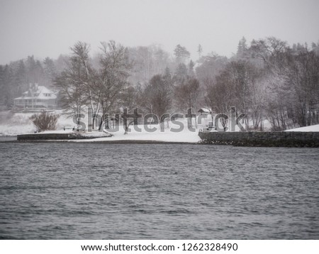 Snowy shoreline of lake in winter, snow falling, overcast, no people, peaceful.