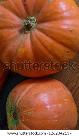 Orange pumpkins and zucchini on the floor