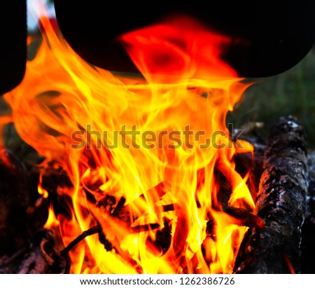 Bonfire in Nature