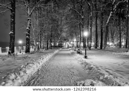 Winter park at night with decorations, lights, benches and trees. Snow landscape. Monochrome.