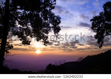Sun rise, Mountain atmosphere at the time of entry, The shadow of the tree in the picture.The sky is purple, orange and blue.