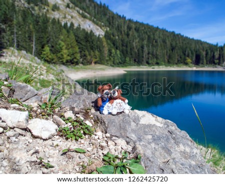 A miniature knitted cute little teddy bears sitting sit against the backdrop of the Black Lake and the mountains. Montenegro. Picture for children's wallpapers, postcards. Handmade, craft, hobby.